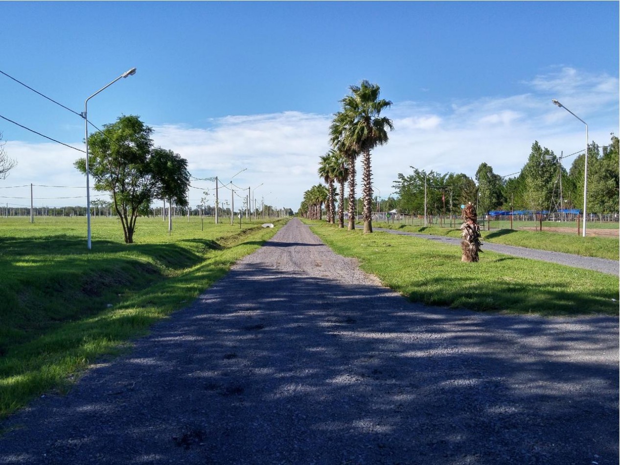 Lotes Campiñas de Piñero